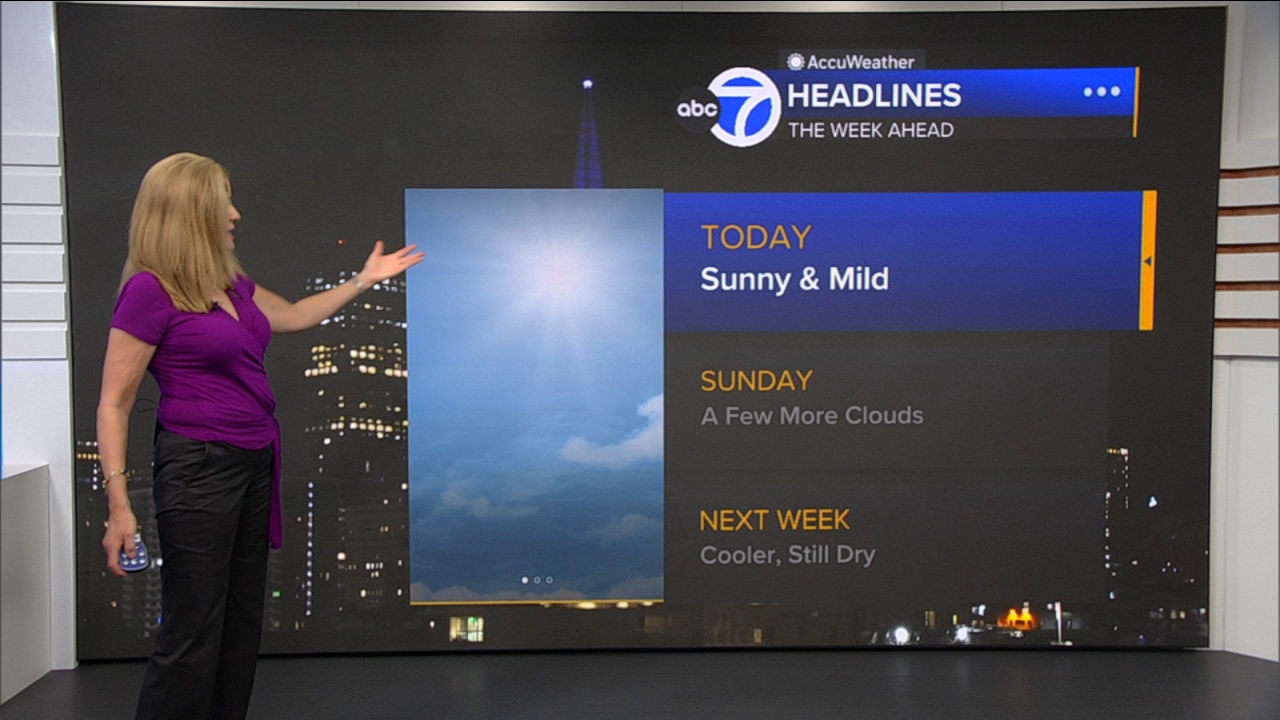 AccuWeather Forecast: Sunny and mild
       — ABC 7 Bay Area, Carrollton Community news