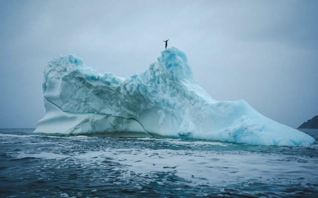 Cliff diver Molly Carson makes history, becomes first woman to dive off iceberg — WPBF Sports Palm Beach, Carrollton Sports news
