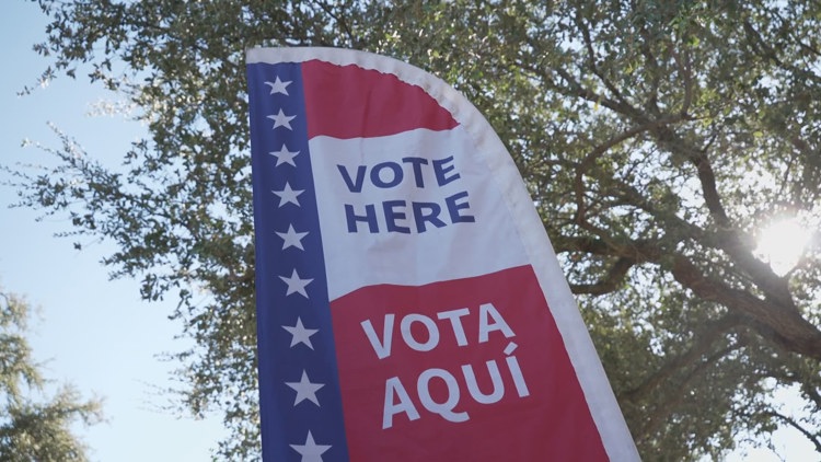 Crowd of voters at a polling place in Carrollton during early voting